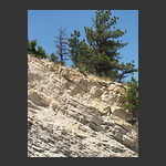 Rock layering at Dinosaur Ridge west of Denver
