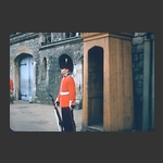 Palace guard
