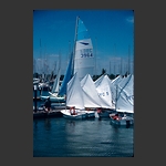 Sarnia Yacht Club