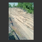 Kelley's Island - Glacial Grooves